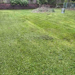 Leaf Removal by The Extra Yard Land &amp; Hardscaping LLC reviewed on June 6, 2026