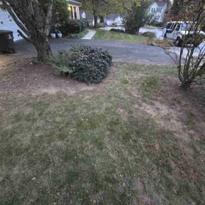 Leaf Removal by AA lawn care reviewed on October 2, 2025