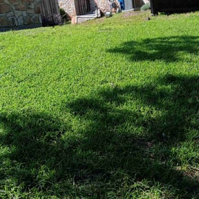 residential landscaping by Almighty Landscaping Service reviewed on August 19, 2025