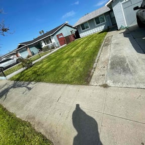 Long Grass Cleanup by Avilas Landscape and Hauling reviewed on April 17, 2025