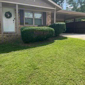 Bush Trimming by Edgar Yanez Services reviewed on November 23, 2025