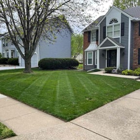 yard maintenance by Lawn Care reviewed on December 17, 2025