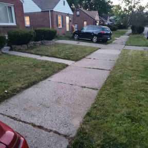 Bush Trimming by Maya's Services LLC reviewed on August 20, 2025