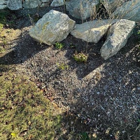 Flower Bed Weeding by ON SITE LAWN SERVICE LLC. reviewed on November 4, 2025