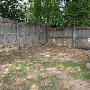 Leaf Removal by Abney's lawncare reviewed on July 20, 2026