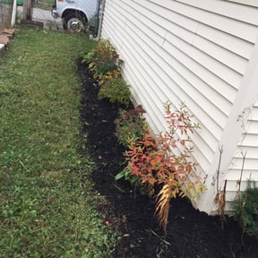 Flower Bed Weeding by 2TXT LLC reviewed on August 15, 2025