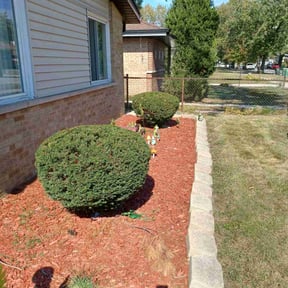Bush Trimming by Triple Crown Services and Landscaping LLC reviewed on August 16, 2025