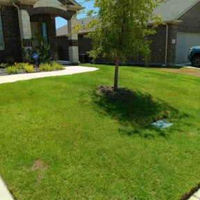 grass maintenance by Manatee Lawn and Tree reviewed on October 22, 2024