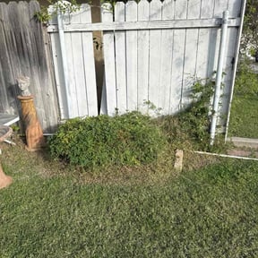 Bush Trimming by Davino Handy Services reviewed on August 20, 2025