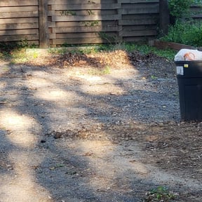 Leaf Removal by Prestige Lawncare &amp; Landscaping LLC reviewed on September 13, 2025