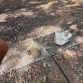 Flower Bed Weeding by Hart's landscaping reviewed on November 24, 2025