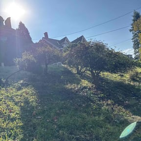 Bush Trimming by K&amp;D land maintenance reviewed on December 25, 2025