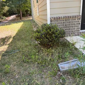 Bush Trimming by Luster Property Services &amp; Landscaping reviewed on May 21, 2026