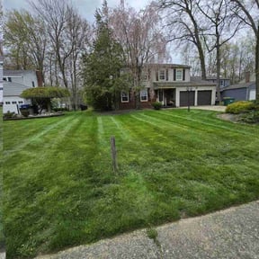 turf maintenance by Azys lawn care  reviewed on August 1, 2023