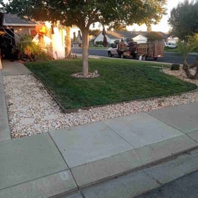 turf care by Murillo Services reviewed on August 15, 2025