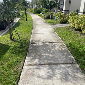 turf maintenance by Alexander's lawn and landscape  reviewed on August 19, 2025