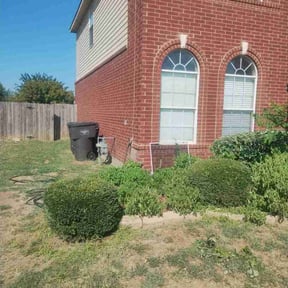 Bush Trimming by Gs lawn care reviewed on July 28, 2026