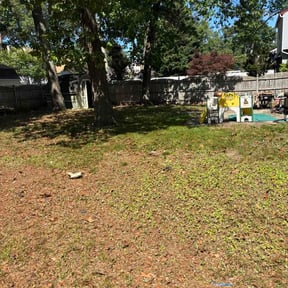 Leaf Removal by Handyman Mike reviewed on June 4, 2026