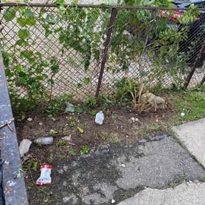 Bush Trimming by Mark's Lawn Care reviewed on August 20, 2025