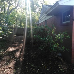 Bush Trimming by Miller Lawn Service reviewed on August 15, 2025