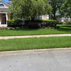 gardening service by Big Chief Lawn Care reviewed on February 16, 2026