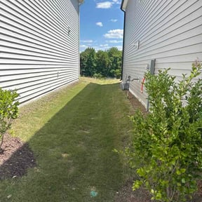 Bush Trimming by ARTHURS LAWN AND LANDSCAPE reviewed on July 1, 2022