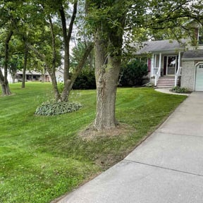 landscaping services by Lawn Care Rx reviewed on April 4, 2022