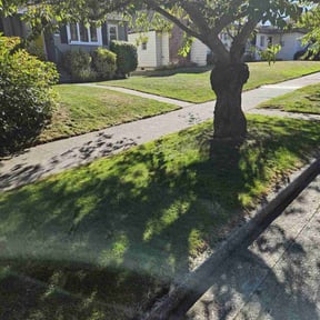 Sodding by  reviewed on October 13, 2025