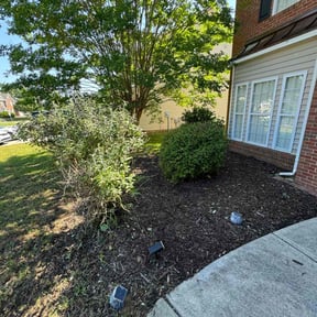 Bush Trimming by DISCOVERY LANDSCAPE LLC reviewed on September 17, 2026