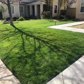 grass cutting by Zeroslandscape reviewed on October 16, 2024