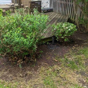 Leaf Removal by Pacheco’s Lawn Care reviewed on September 17, 2025