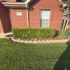 Bush Trimming by Power T Properties reviewed on June 23, 2026