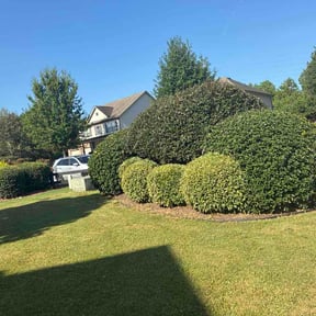 Bush Trimming by LawnCore reviewed on September 1, 2026