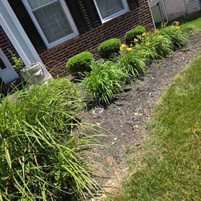 Flower Bed Weeding by Wash's landscaping reviewed on May 31, 2026
