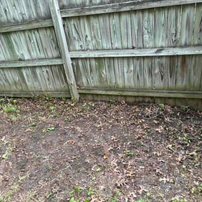 Leaf Removal by BBNA LLC reviewed on June 19, 2026