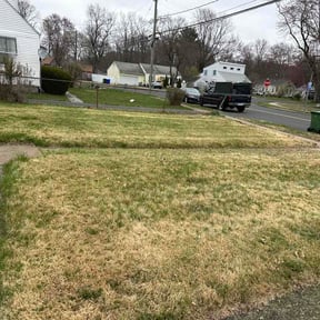 Leaf Removal by Dj's Lawn Care reviewed on May 10, 2026