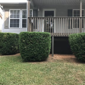 Bush Trimming by Marvin's Services LLC reviewed on August 20, 2025