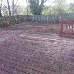 Leaf Removal by Summa Solutione LLC reviewed on May 21, 2026