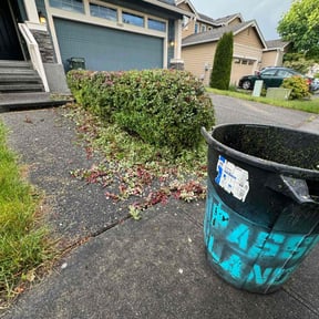 Bush Trimming by Cobbs Construction, LLC reviewed on August 21, 2025