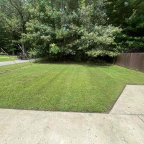 turf maintenance by Charleston Green Team LLC. reviewed on October 8, 2023