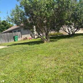 Bush Trimming by Jeri Cleaning Services reviewed on April 30, 2026