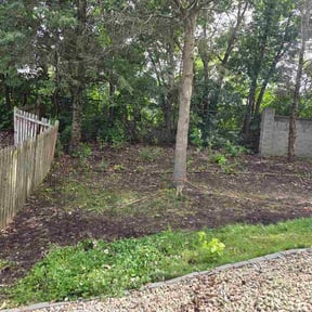 Leaf Removal by All about the green landscaping reviewed on June 26, 2026