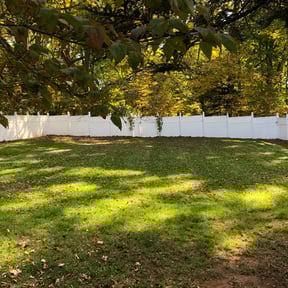 Bush Trimming by Wgm landscaping reviewed on August 18, 2025