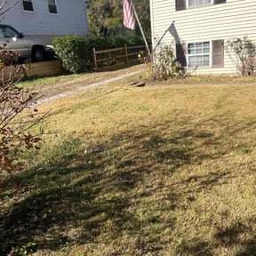 Leaf Removal by Nyasia's landscape reviewed on September 23, 2025