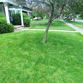 yard service by Blu's Lawn Care reviewed on November 22, 2025