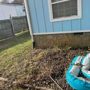 Bush Trimming by Lulu lawn care reviewed on June 30, 2022