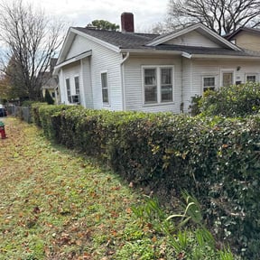 Bush Trimming by Sun's Lawn Care LLC. reviewed on December 21, 2025