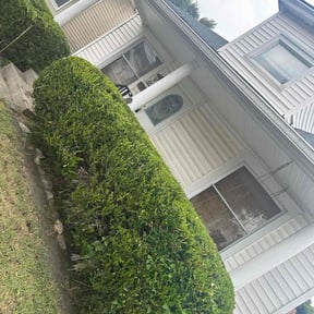 Bush Trimming by C&amp;R Services reviewed on January 3, 2023