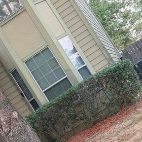 Bush Trimming by Diamond R Equipment Services LLC reviewed on October 18, 2025