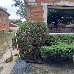 Bush Trimming by All in one reviewed on July 28, 2026